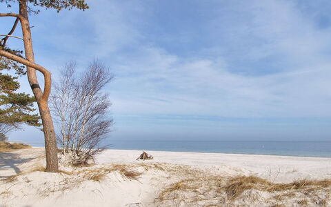 Anemette - 100M from the Sea: Lucht, Blauw, Natuurlijke Omgeving, Afdeling, Hout, Winter, Zand, Freezing, Strand, Takje