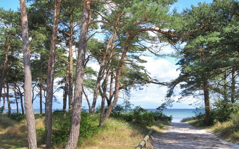 Ignat - 175M from the Sea: Hout, Huis, Verblijf, Huis, Dak, Landelijk Gebied, Siding, Blokhut, Garden Gebouwen, Hardwood