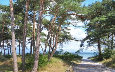 Ignat - 175M from the Sea