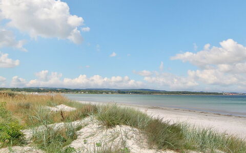 Berthilde - 400M from the Sea: Hout, Huis, Verblijf, Huis, Dak, Landelijk Gebied, Siding, Blokhut, Garden Gebouwen, Hardwood
