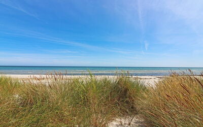 Yrja - 150M from the Sea