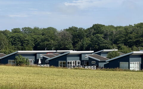 Helemine - 2.8Km from the Sea: Hout, Huis, Verblijf, Huis, Dak, Landelijk Gebied, Siding, Blokhut, Garden Gebouwen, Hardwood