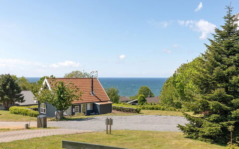 Lahja - 400M from the Sea: Vegetation, Struik, De Lente, Verblijf, Tuin, Schaduw, Backyard, Werf, Stoel