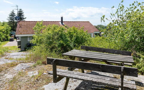 Lahja - 400M from the Sea: Vegetation, Struik, De Lente, Verblijf, Tuin, Schaduw, Backyard, Werf, Stoel