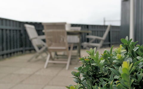 Wifred - 250M from the Sea: Huis, Huis, Deur, Dak, Verblijf, Landgoed, Tuin, Schaduw, Siding, Werf