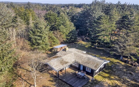 Olin - 600M from the Sea: Huis, Huis, Deur, Dak, Verblijf, Landgoed, Tuin, Schaduw, Siding, Werf