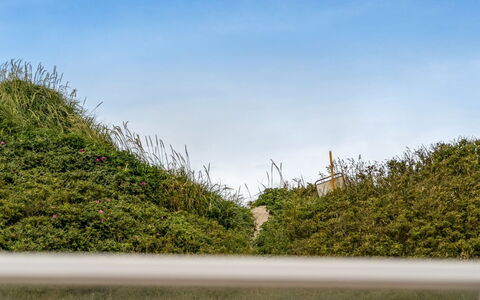 Dolma - 75M from the Sea: Huis, Huis, Deur, Dak, Verblijf, Landgoed, Tuin, Schaduw, Siding, Werf
