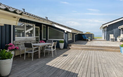 Alyssa - 300M from the Sea: Plantengemeenschap, Zonlicht, Kruidachtige Plant, Tuin, Plantage, Landbouw, Boerderij
