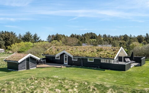 Eddi - 550M from the Sea: Vegetation, Struik, De Lente, Verblijf, Tuin, Schaduw, Backyard, Werf, Stoel