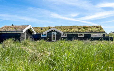 Eddi - 550M from the Sea: Vegetation, Struik, De Lente, Verblijf, Tuin, Schaduw, Backyard, Werf, Stoel