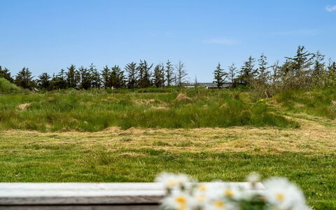 Tera - 600M from the Sea: Gras, Grasland, Land Lot, Verblijf, Landelijk Gebied, Weide, Garden Gebouwen, Tuin, Schuur