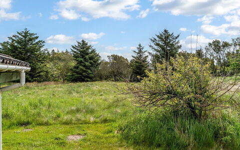 Aponi - 400M from the Sea: Lucht, Gras, Natuurlijke Omgeving, Grasland, Vegetation, Wolk, Struik, Plain, Ecoregio, Land Lot