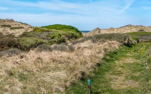 Erko - 150M from the Sea: Dak, Huis, Huis, Verblijf, Siding, Landgoed, Oprit, Garden Gebouwen, Werf, Schuur