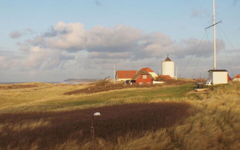 Nonni - 200M from the Sea: Zwembad, Buitenmeubels, Meubilair, Toevlucht, Flagstone, Eco Hotel, Schaduw, Stoel, Vrije Tijd, Landgoed
