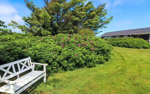 Violeta - 250M from the Sea: Bloem, Struik, Roze, Tuin, Groundcover, Purper, De Lente, Gazon, Weide, Landscaping