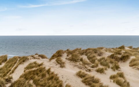 Radica - 50M from the Sea: Blauw, Natuurlijke Omgeving, Zand, Ecoregio, Horizon, Strand, Kust, Zee, Kust