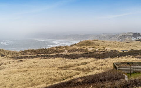 Radica - 50M from the Sea: Lucht, Gras, Natuurlijke Omgeving, Ecoregio, Horizon, Grasland, Steppe, Plantengemeenschap, Terrein, Plain