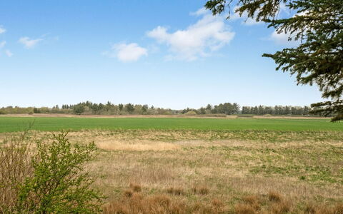 Harri - 850M from the Sea: Huis, Huis, Deur, Dak, Verblijf, Landgoed, Tuin, Schaduw, Siding, Werf