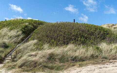 Abbie - 10M from the Sea: Gras, Vegetation, Struik, Plantengemeenschap, Ecoregio, Landschap, Grasland, Shrubland, Helling