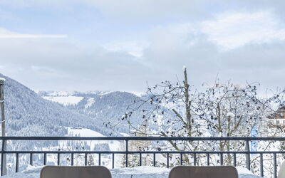 Accommodatie:&nbsp;Superior & Infinity Pool 400.2