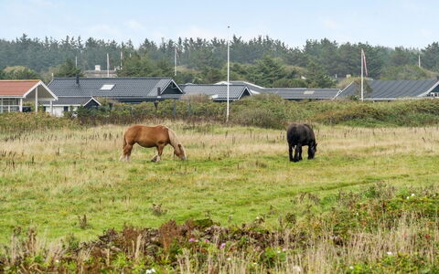 Helma - 200M from the Sea: Hout, Huis, Verblijf, Huis, Dak, Landelijk Gebied, Siding, Blokhut, Garden Gebouwen, Hardwood
