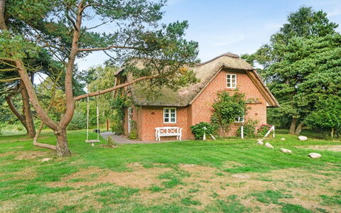 Ariela - 1.1Km from the Sea: Thatching, Verblijf, Huis, Dak, Huis, Boerderij, Hut, Landgoed, Dorp