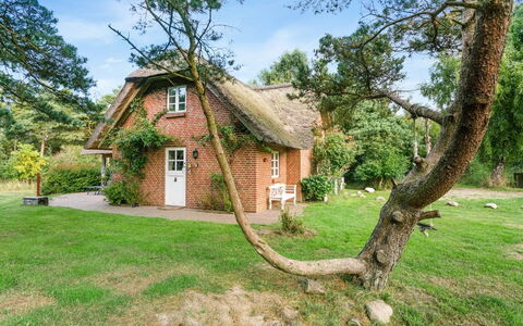 Ariela - 1.1Km from the Sea: Thatching, Verblijf, Huis, Dak, Huis, Boerderij, Hut, Landgoed, Dorp