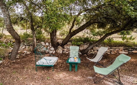 Saint Saturnin D'Apt 105: Boom, Natuurgebied, Plantkunde, Woody Plant, Bos, Fabriek, Gras, Tafel, Aanpassing, Gemeentepark