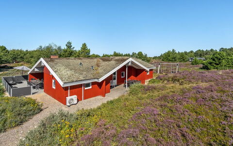 Asdis - 2.8Km from the Sea: Wildflower, Shrubland, Dicht Struikgewas