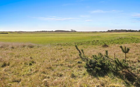 Maura - 2.3Km from the Sea: Gebouw, Huis, Venster, Huis, Dak, Woongebied, Struik, Verblijf, Land Lot