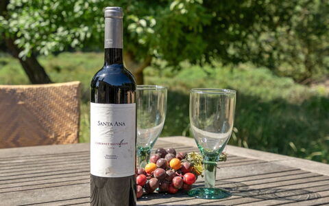 Mojag - 1Km from the Sea: Fles, Wijn, Rode Wijn, Wijnfles, Glazen Fles, Barware