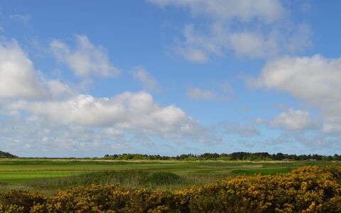 Auti - 2.3Km from the Sea: Gebouw, Huis, Venster, Huis, Dak, Woongebied, Struik, Verblijf, Land Lot