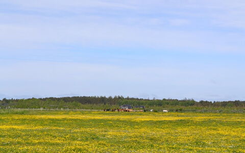Auti - 2.3Km from the Sea: Gebouw, Huis, Venster, Huis, Dak, Woongebied, Struik, Verblijf, Land Lot