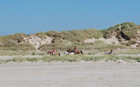 Helline - 900M from the Sea: Thatching, Verblijf, Huis, Dak, Huis, Boerderij, Hut, Landgoed, Dorp