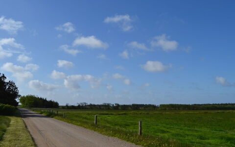 Helline - 900M from the Sea: Thatching, Verblijf, Huis, Dak, Huis, Boerderij, Hut, Landgoed, Dorp