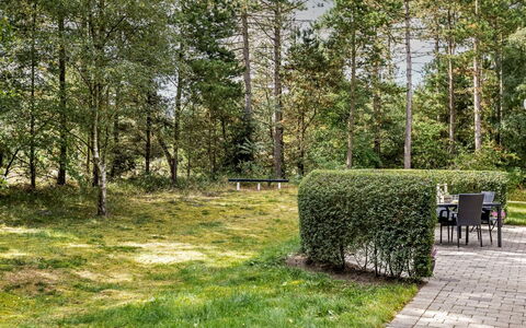 Troen - 3.8Km from the Sea: Boom, Groen, Gras, Blad, Vegetation, Struik, Tuin, Land Lot, Plantengemeenschap, Groundcover