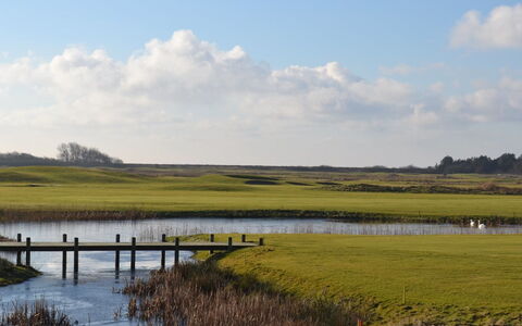 Byriel - 2.3Km from the Sea: Gebouw, Huis, Venster, Huis, Dak, Woongebied, Struik, Verblijf, Land Lot