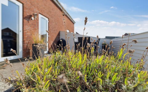Byriel - 2.3Km from the Sea: Gebouw, Huis, Venster, Huis, Dak, Woongebied, Struik, Verblijf, Land Lot