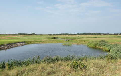 Helvig - 2.3Km from the Sea: Water, Moeras, Watervoorraden, Natuurlijke Omgeving, Natuurlijk Landschap, Grasland, Plain, Ecoregio