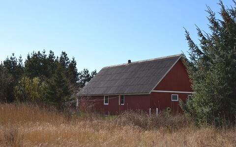 Kabbi - 2.6Km from the Sea: Gebouw, Huis, Venster, Huis, Dak, Woongebied, Struik, Verblijf, Land Lot