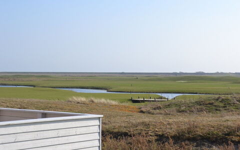 Jasna - 2.3Km from the Sea: Gras, Hout, Landelijk Gebied, Struik, Verblijf, Dak, Plain, Land Lot, Huis, Groundcover