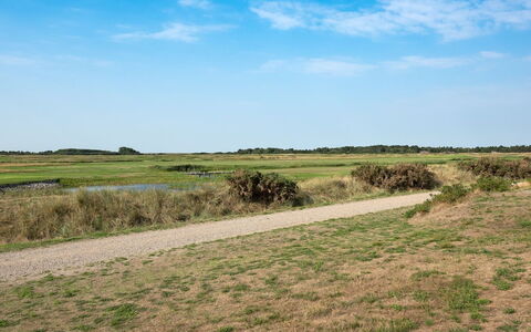 Jovanka - 2.3Km from the Sea: Lucht, Blauw, Groen, Gras, Grasland, Natuurlijke Omgeving, Ecoregio, Natuurlijk Landschap, Vegetation, Plain