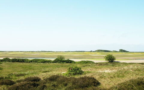 Sighwald - 2.3Km from the Sea: Lucht, Groen, Gras, Grasland, Natuurlijk Landschap, Ecoregio, Vegetation, Plain, Steppe, Prairie