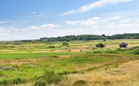 Ønd - 2.5Km from the Sea: Struik, Stedelijk Ontwerp, Groundcover, Steen, Appartement, Landgoed, Metselwerk, Balkon, Landscaping