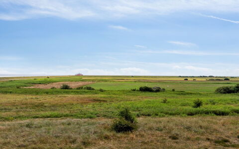 Ønd - 2.5Km from the Sea: Struik, Stedelijk Ontwerp, Groundcover, Steen, Appartement, Landgoed, Metselwerk, Balkon, Landscaping