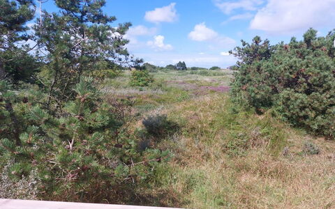 Elgin - 1.8Km from the Sea: Gebouw, Huis, Venster, Huis, Dak, Woongebied, Struik, Verblijf, Land Lot