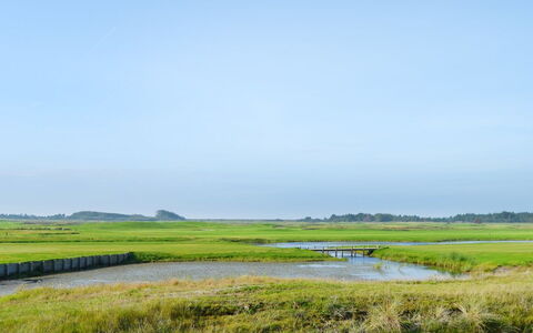Nayana - 2.3Km from the Sea: Lucht, Groen, Natuurlijke Omgeving, Natuurlijk Landschap, Grasland, Plain, Moeras, Ecoregio, Horizon, Wolk