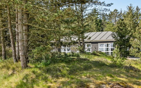Svanborg - 3.7Km from the Sea: Dak, Huis, Land Lot, Huis, Verblijf, Landgoed, Garden Gebouwen, Schaduw, Blokhut, Landscaping