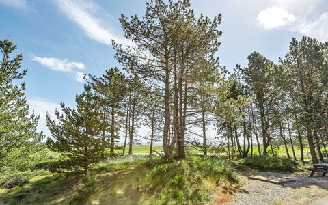 Svanborg - 3.7Km from the Sea: Dak, Huis, Land Lot, Huis, Verblijf, Landgoed, Garden Gebouwen, Schaduw, Blokhut, Landscaping