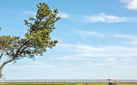 Svanborg - 3.7Km from the Sea: Dak, Huis, Land Lot, Huis, Verblijf, Landgoed, Garden Gebouwen, Schaduw, Blokhut, Landscaping